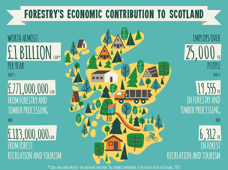 forestry_infographic-1