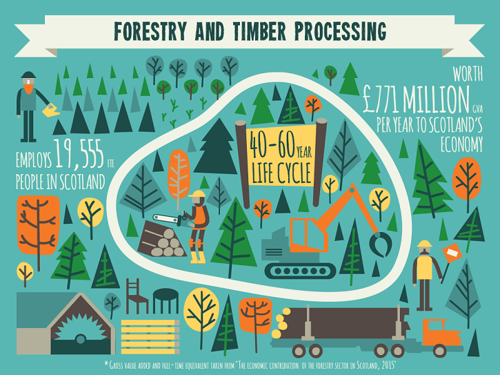 forestry_infographic-2