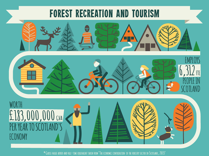 forestry_infographic-3